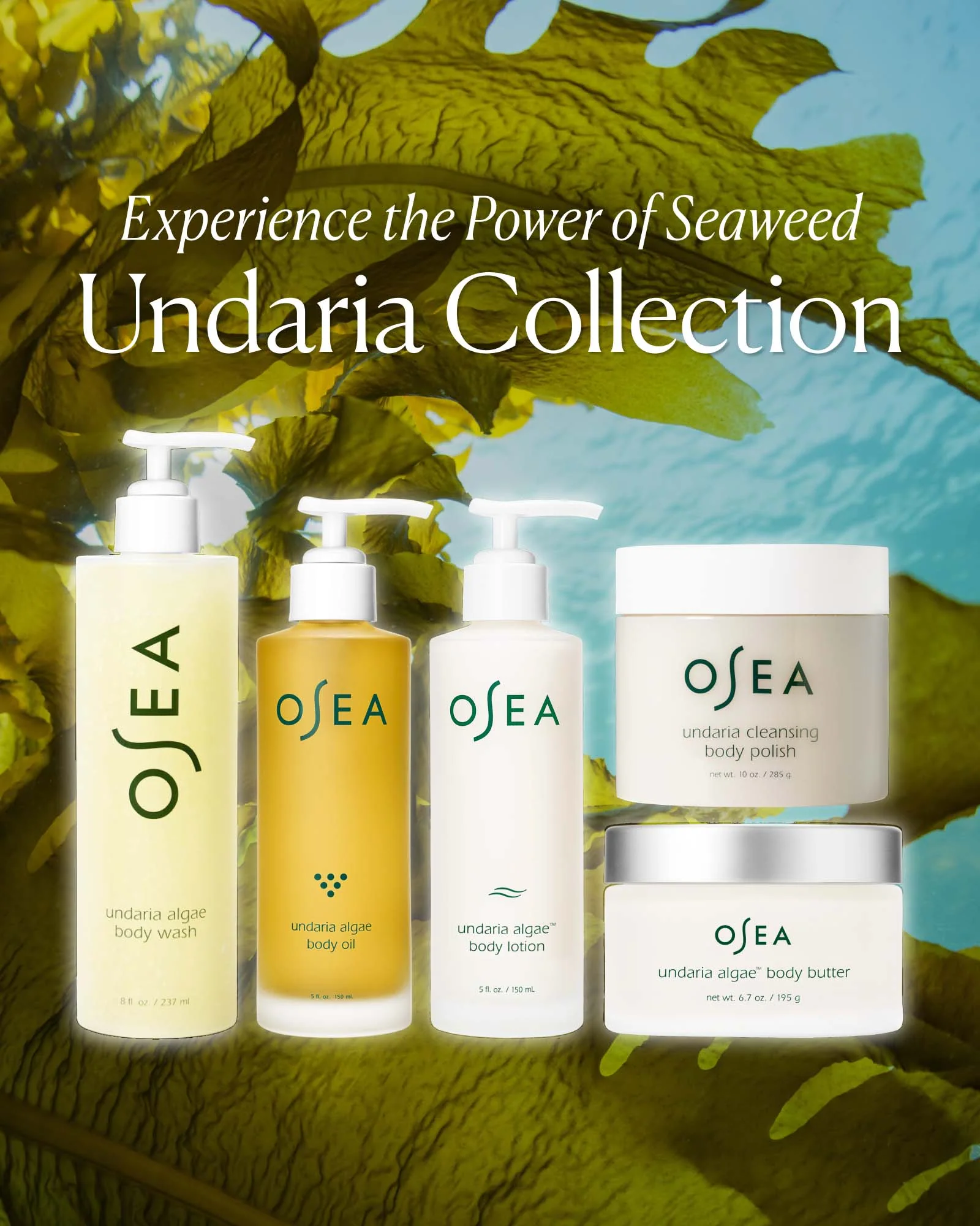 Undaria Algae™ Body Oil - Image 7
