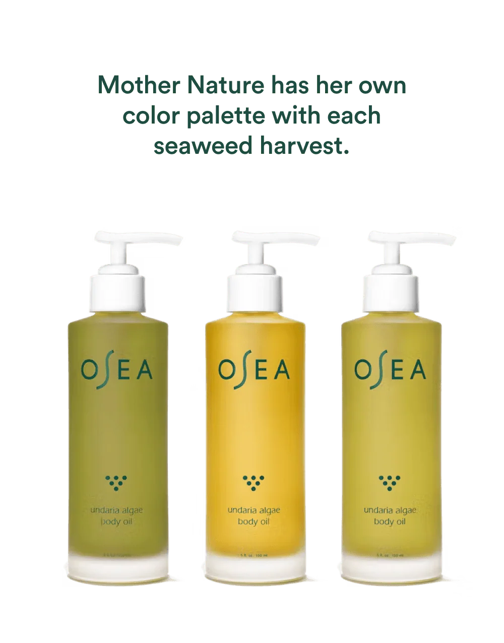 Undaria Algae™ Body Oil Fragrance Free - Image 5