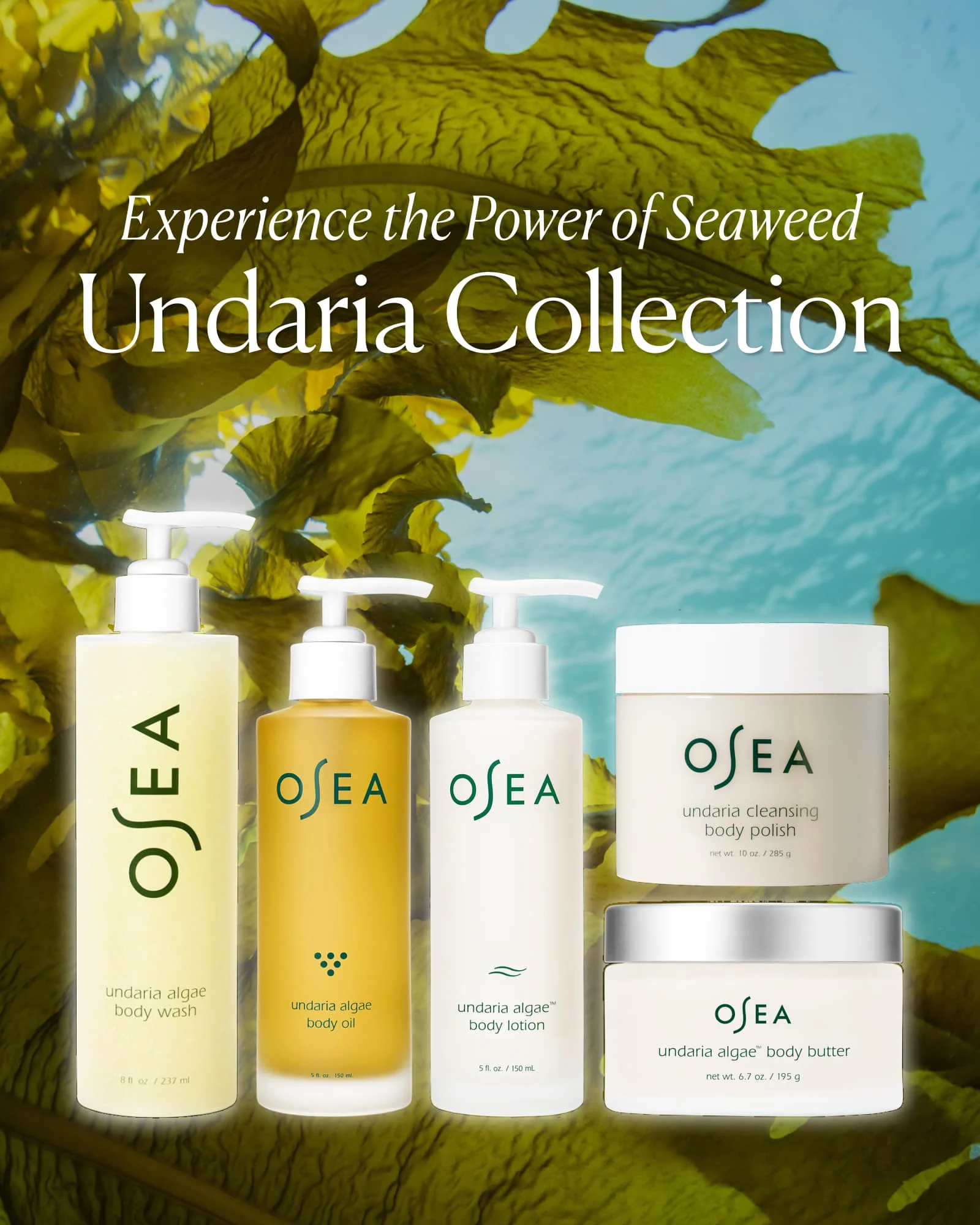 Undaria Cleansing Body Polish - Image 8